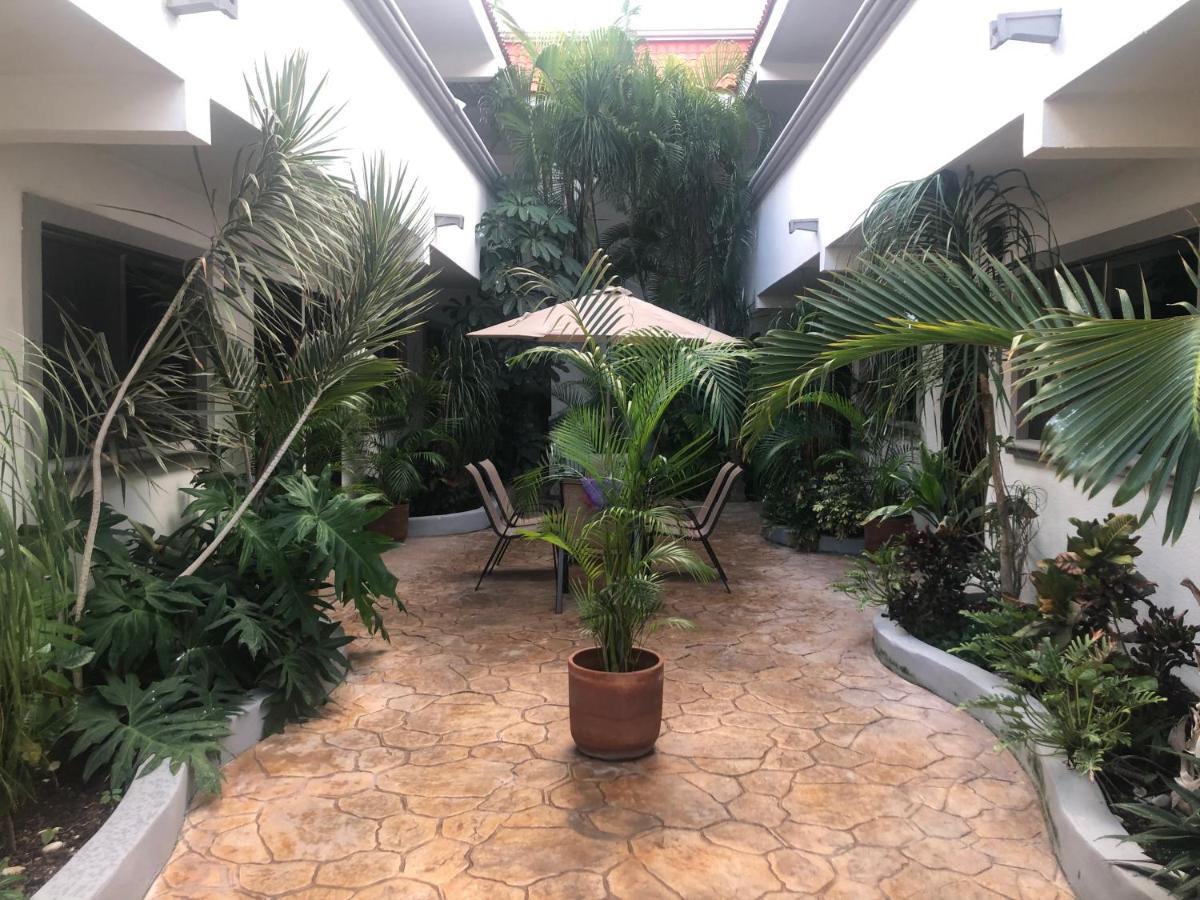 Mayan Caribe Apart-Hotel Плая-дель-Кармен Экстерьер фото